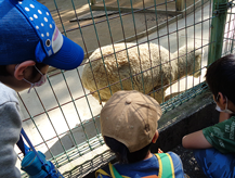 道具を使った療育